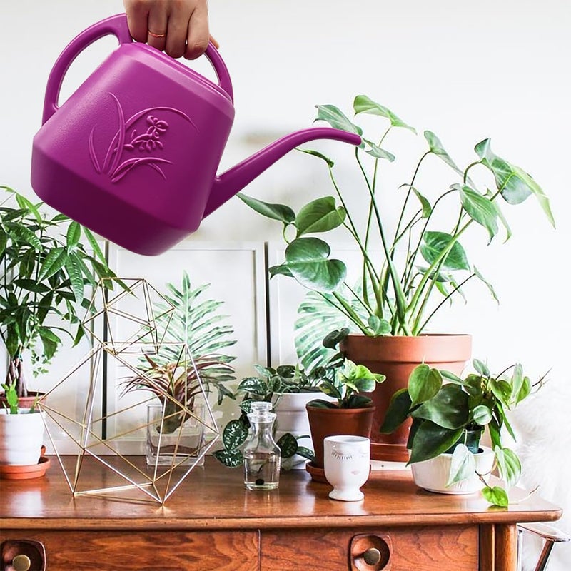 VKPLITE Plant Watering Can - Rose Red - 1/2 Gallon - Image 4